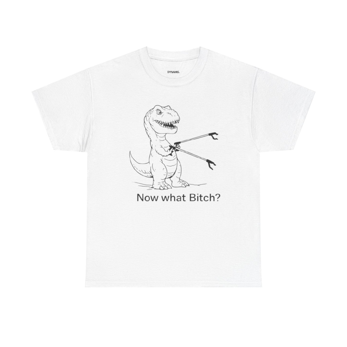 Funny T-Rex Shirt